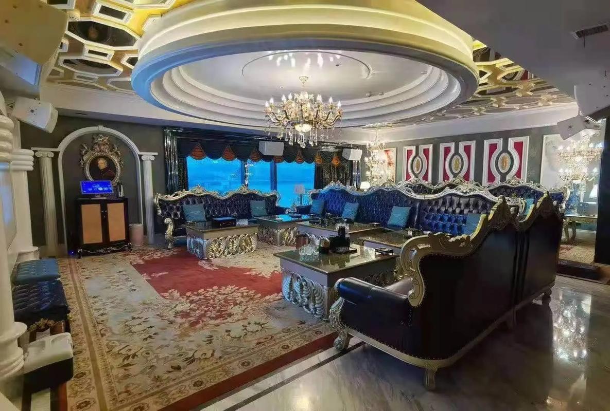 周口商务ktv的含义与选择指南-扶沟县ktv预订